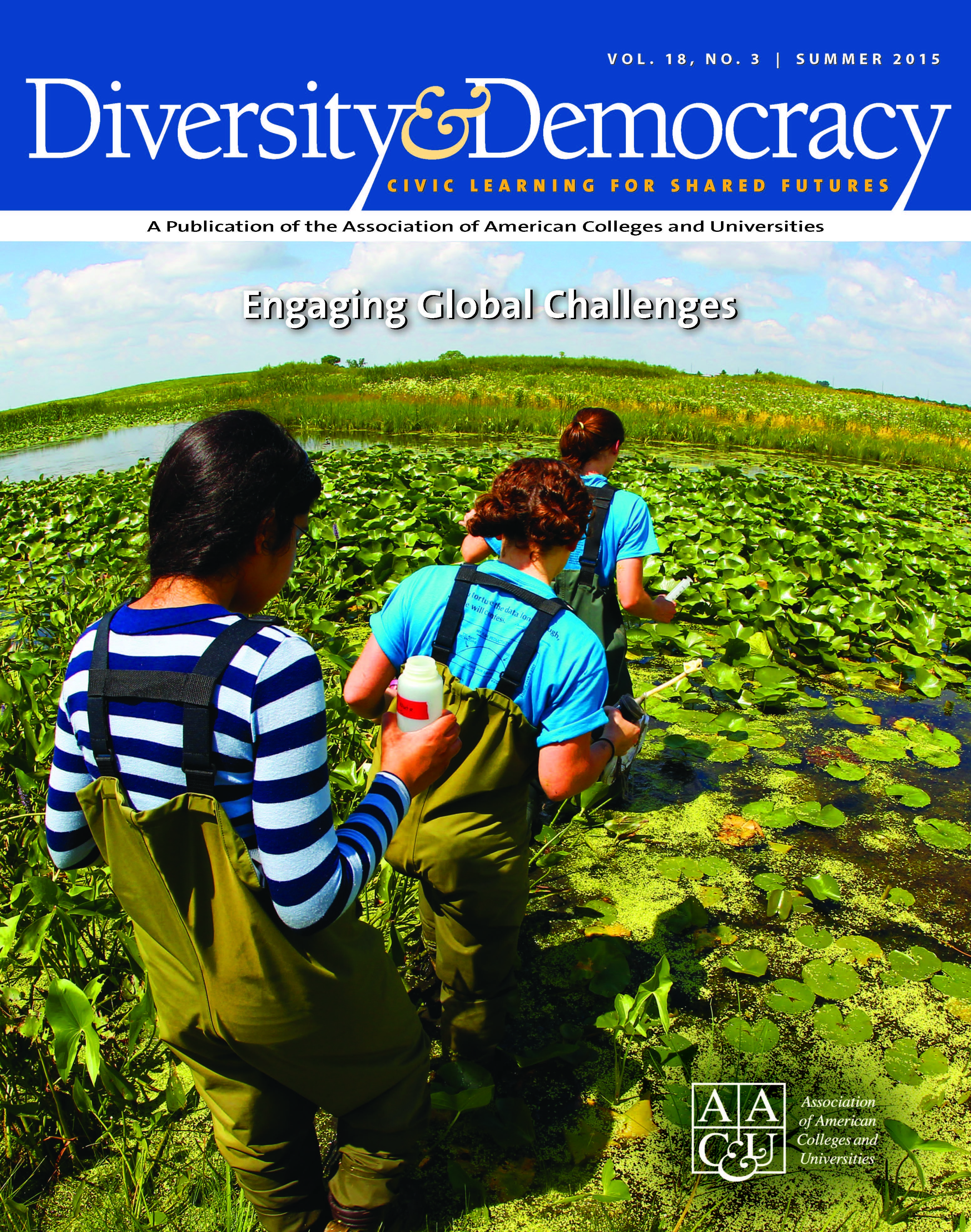 Summer 2015 issue of Diversity & Democracy magazine